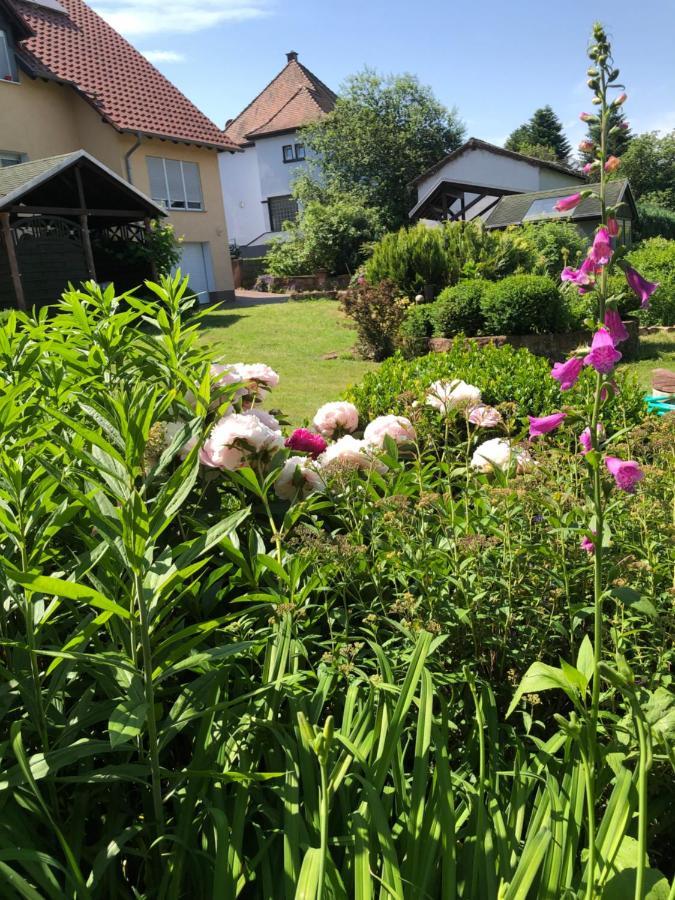 Gemuetliches Apartment Garden View Ramstein-Miesenbach Luaran gambar
