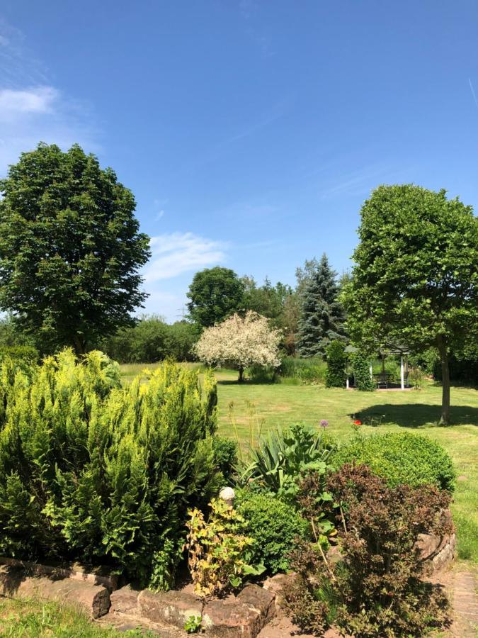 Gemuetliches Apartment Garden View Ramstein-Miesenbach Luaran gambar