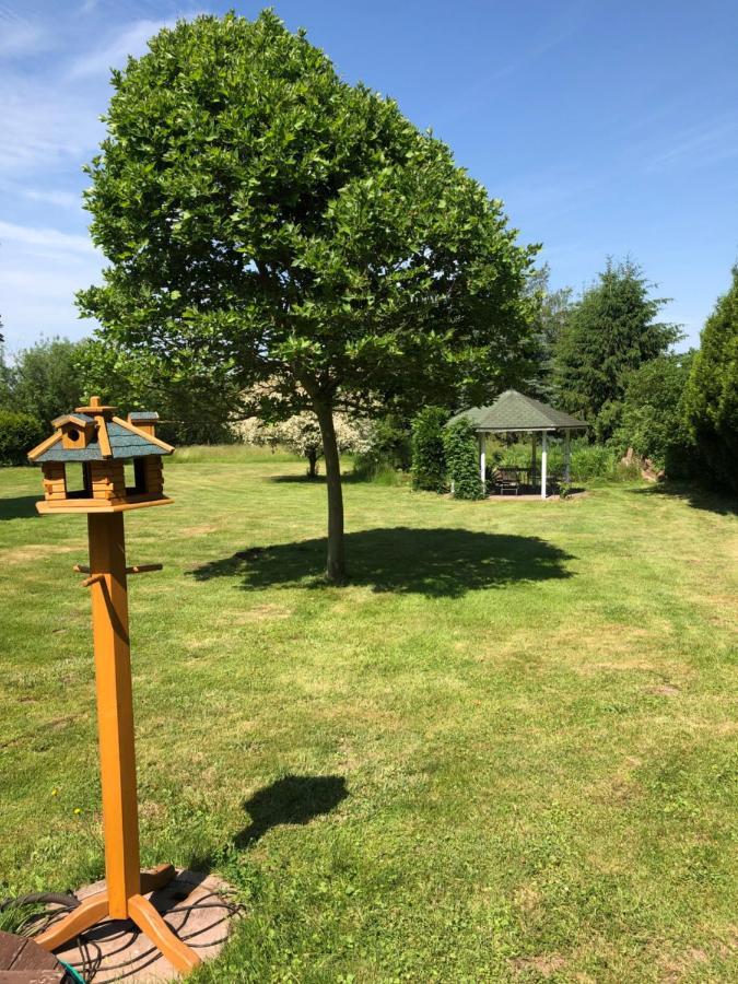 Gemuetliches Apartment Garden View Ramstein-Miesenbach Luaran gambar
